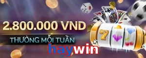 haywin