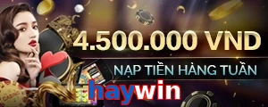 haywin
