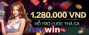haywin