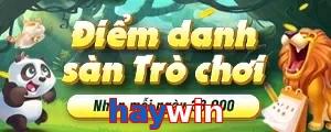 haywin