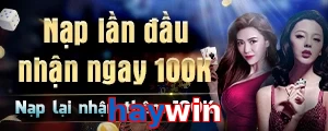 haywin