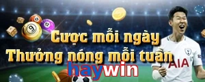 haywin